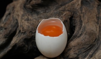 行业资讯-辉新-咸鸭蛋的使用场景有哪些？