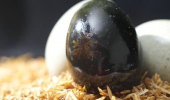 公司新闻-辉新-如何选购优质的松花皮蛋？