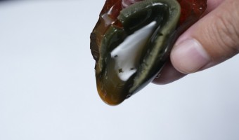 公司新闻-辉新-松花皮蛋的应用场景