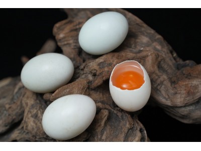 咸鸭蛋有哪些腌制方法？