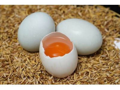 如何选择优质的咸鸭蛋厂家？