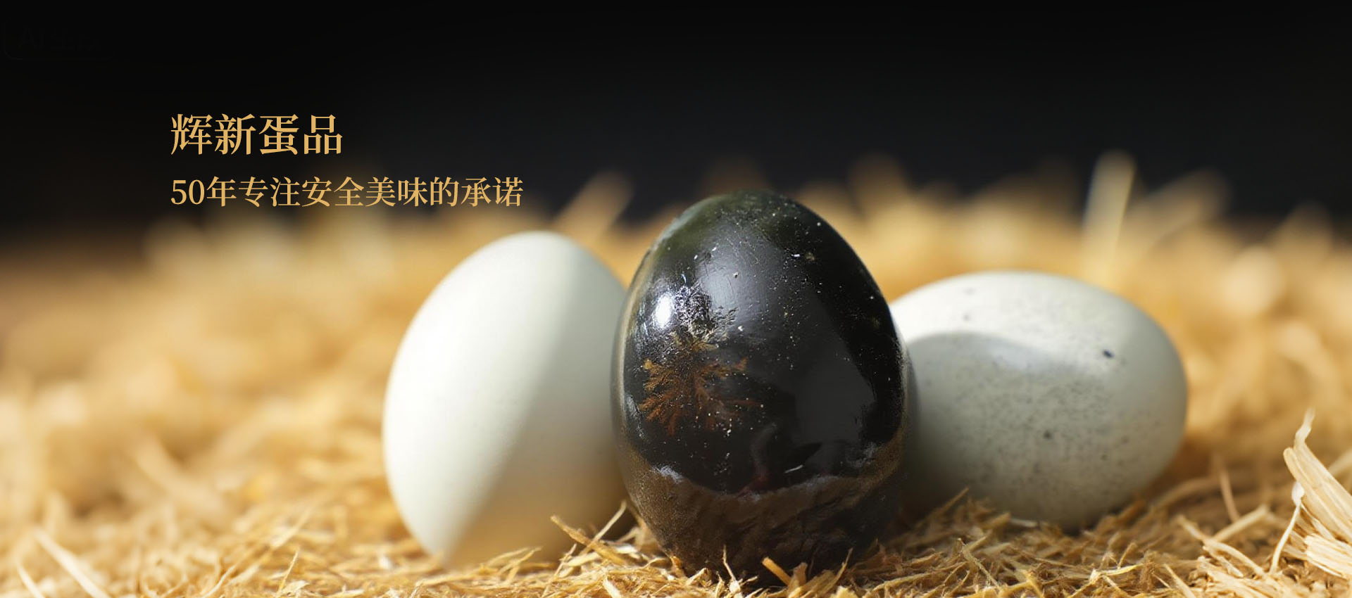 东莞市辉新蛋品有限公司